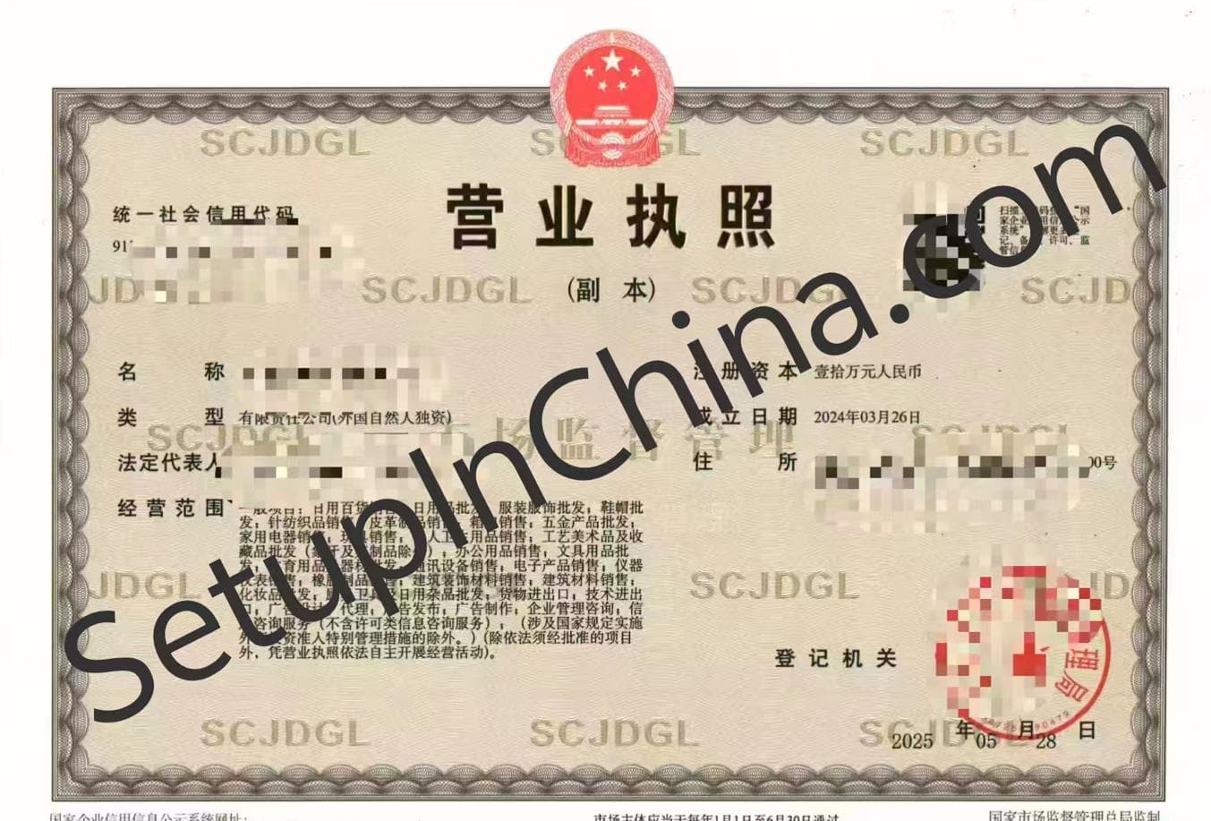 Registered company business licence 1