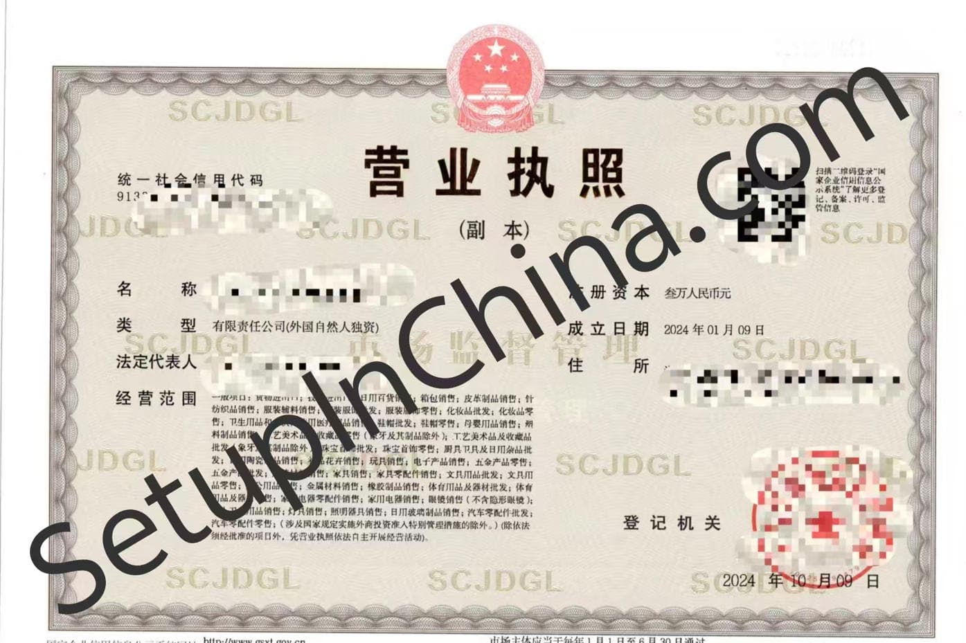 Registered company business licence 10