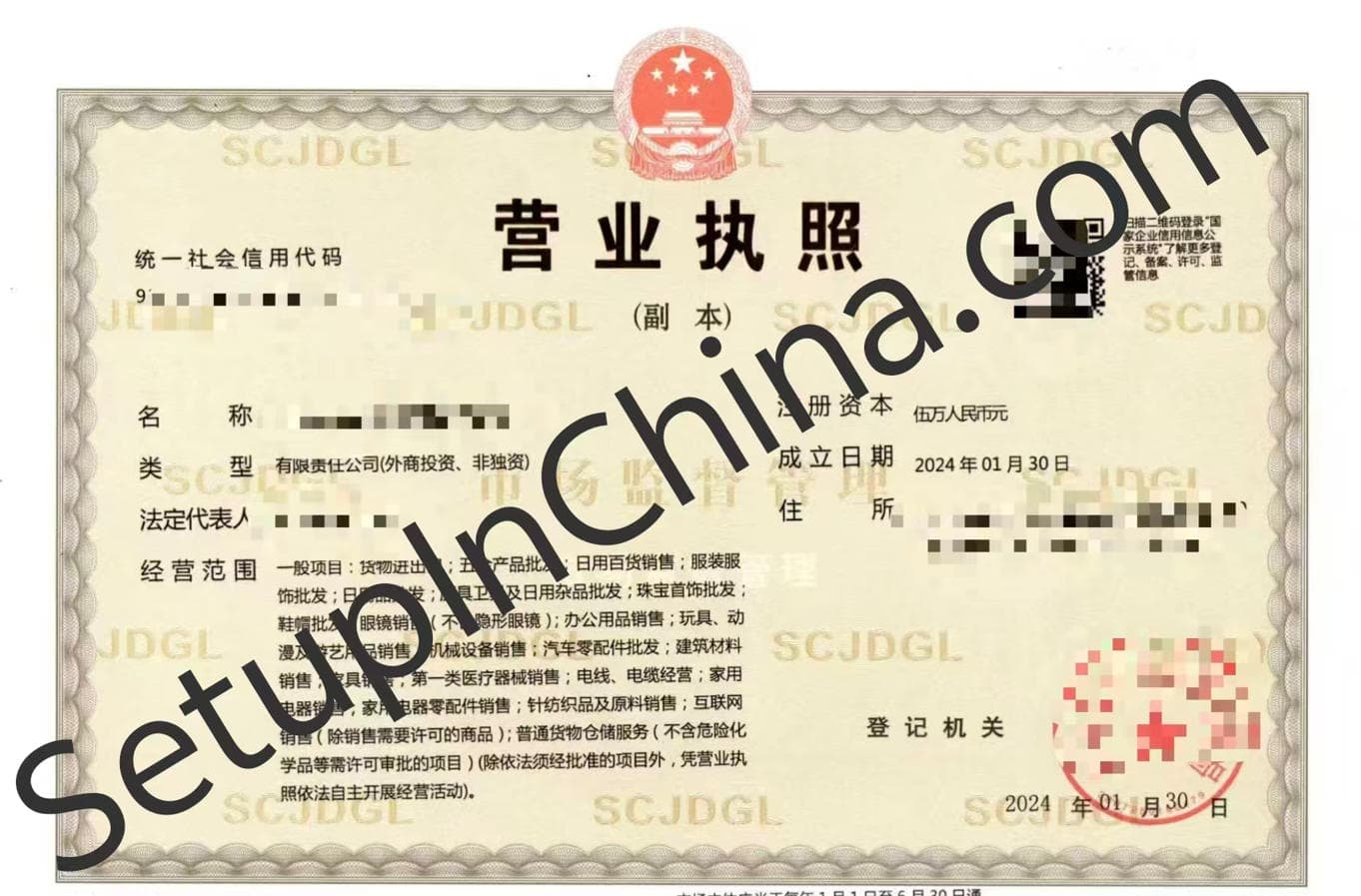 Registered company business licence 11