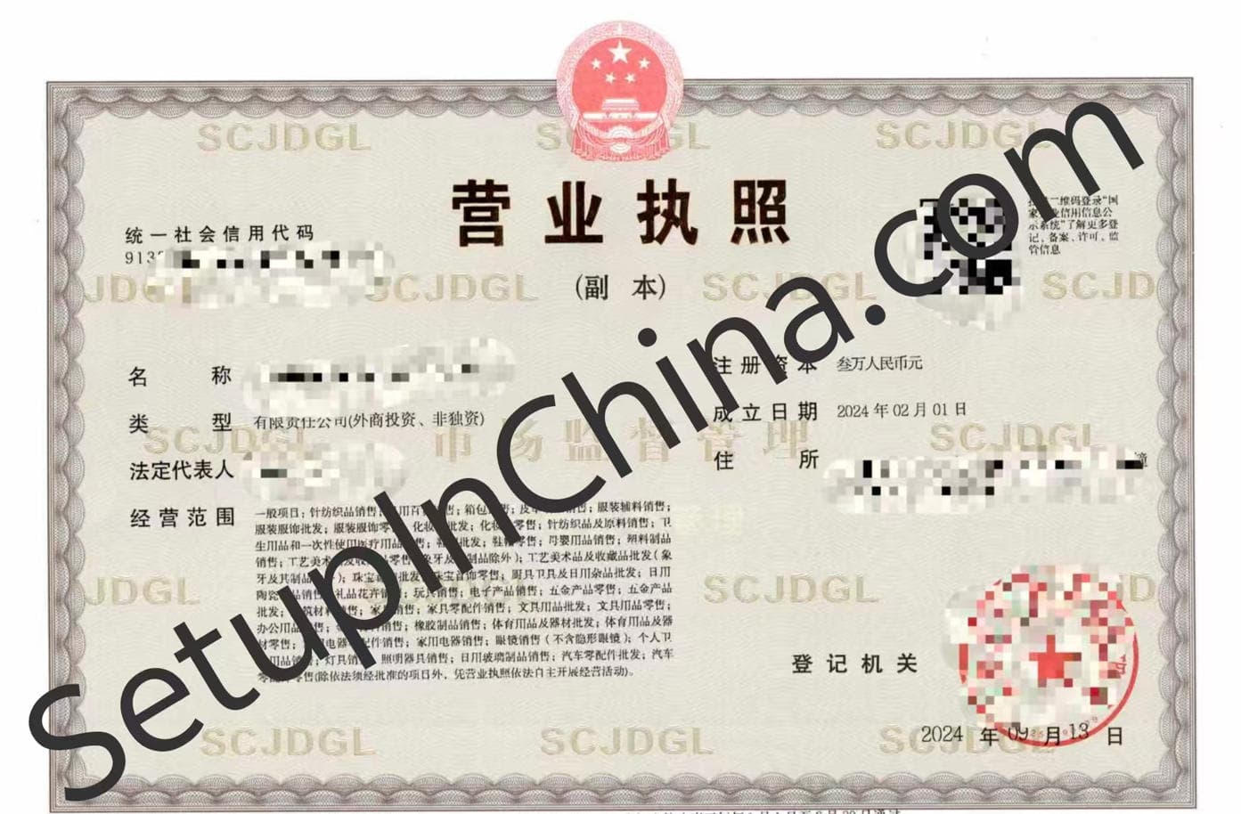 Registered company business licence 12