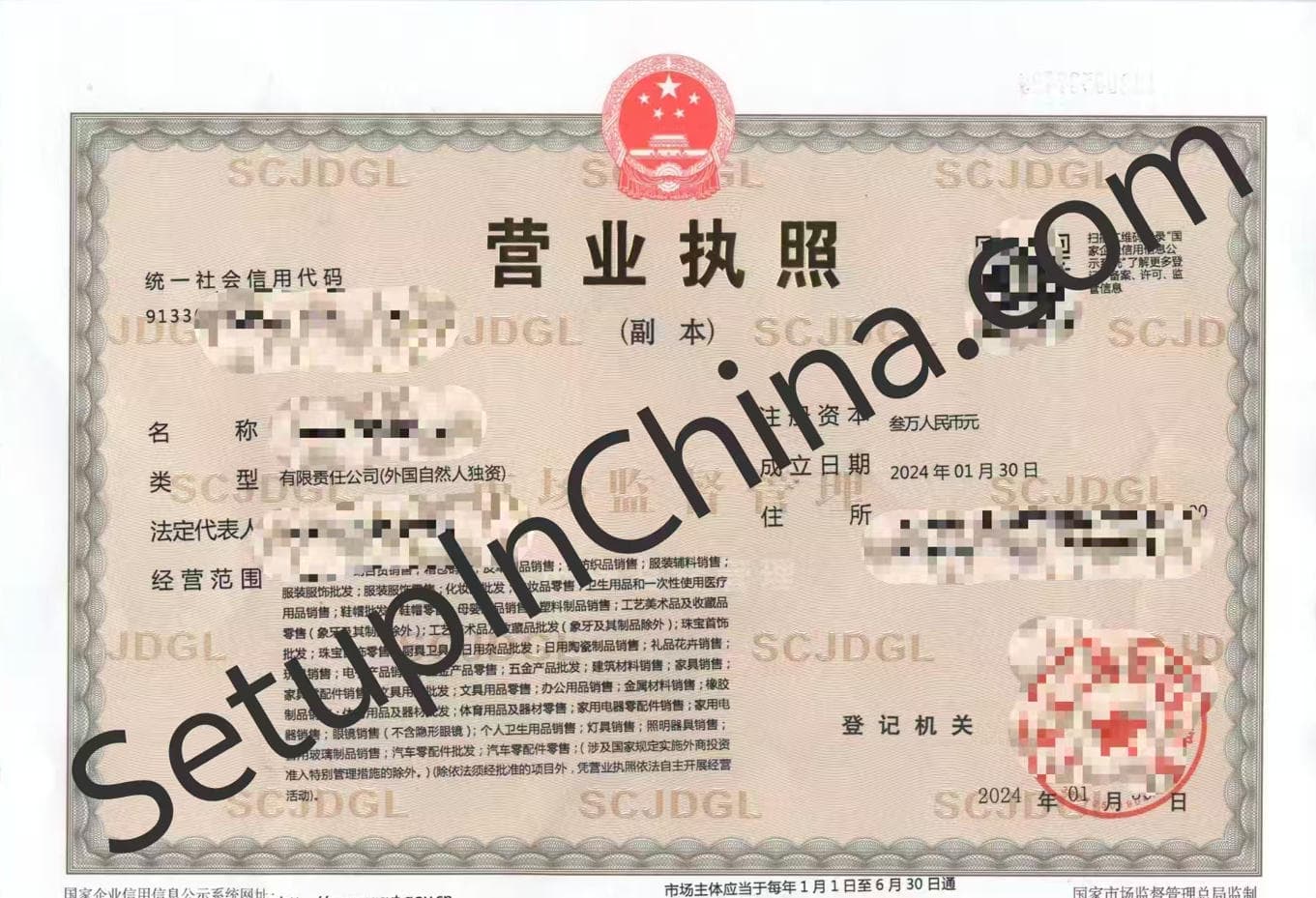 Registered company business licence 2