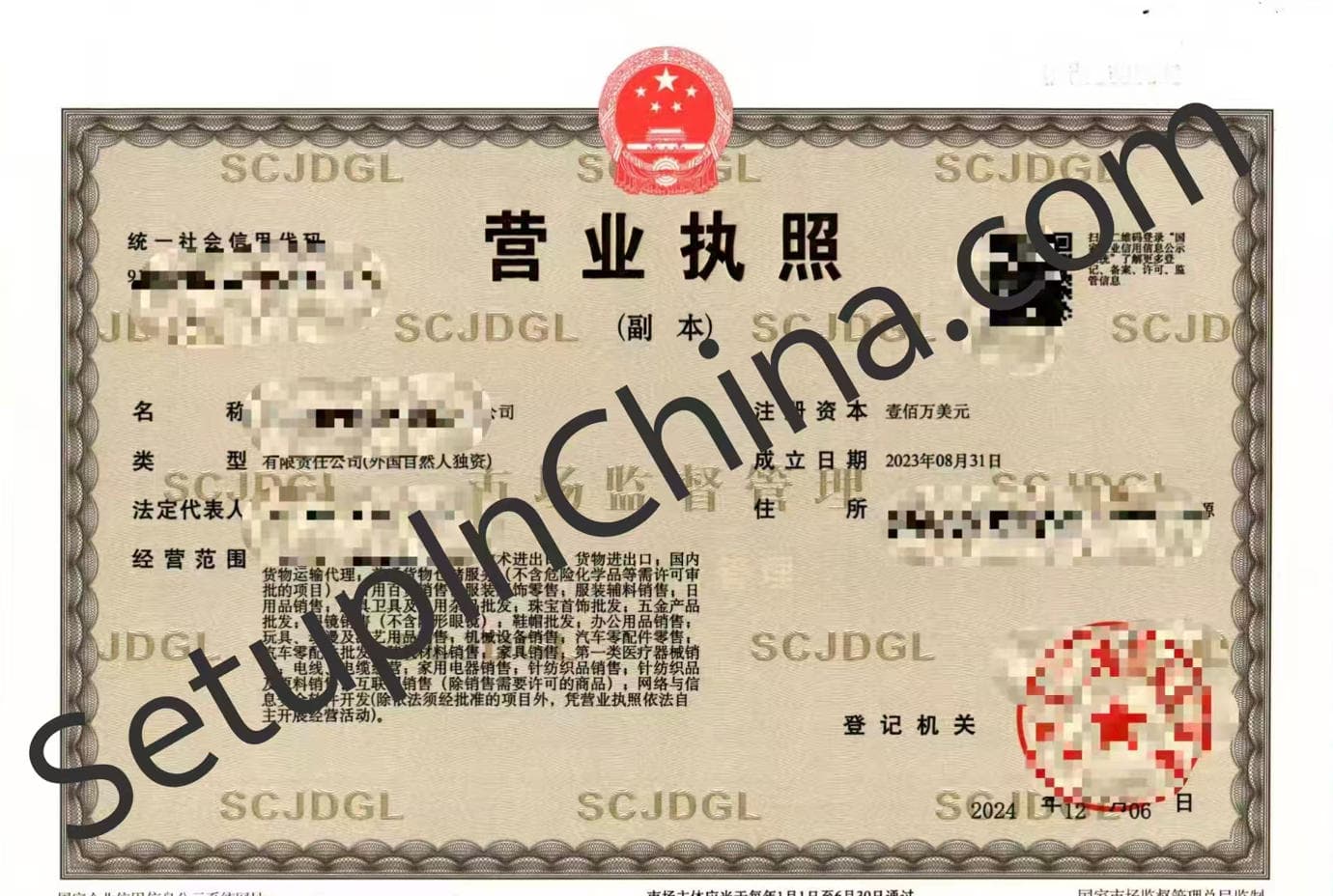 Registered company business licence 3