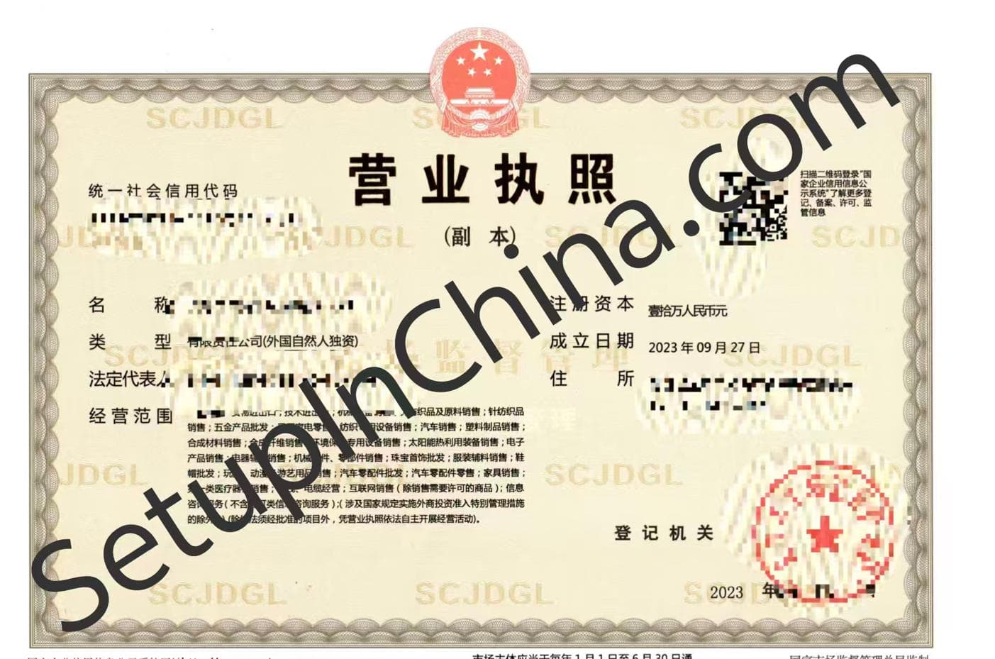 Registered company business licence 4