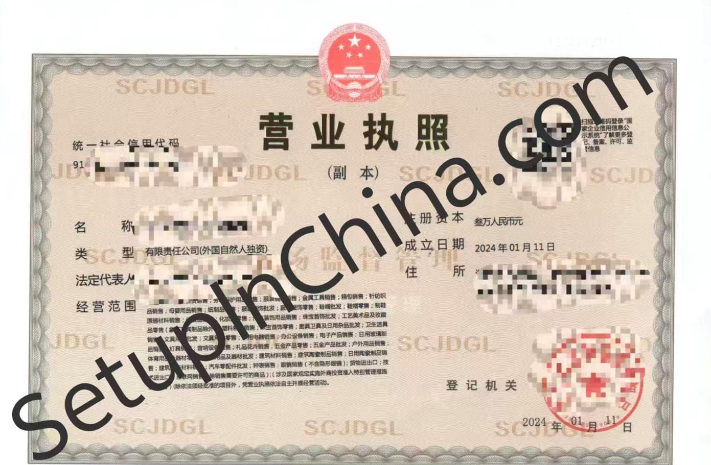 Registered company business licence 5