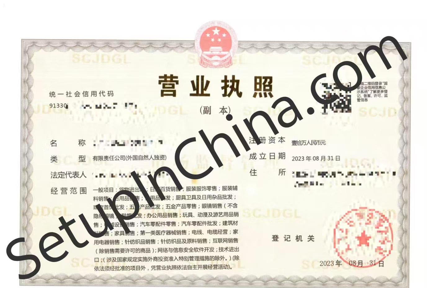 Registered company business licence 6