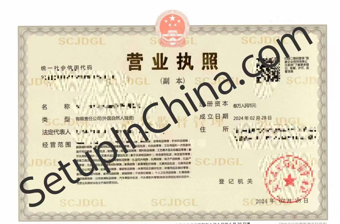 Registered company business licence 7