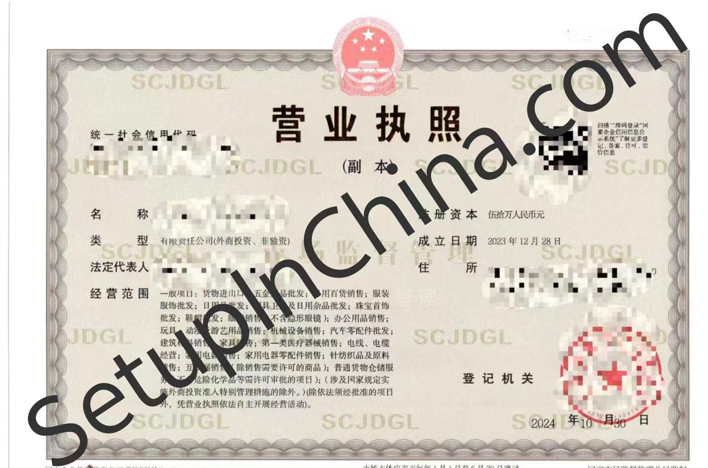 Registered company business licence 8
