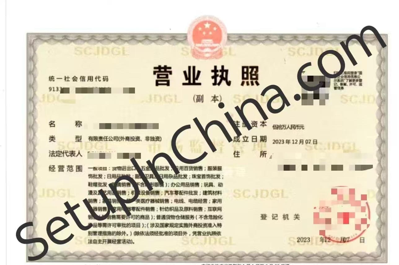 Registered company business licence 9